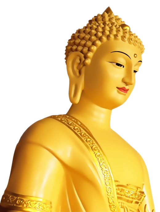 gautam buddha transparent