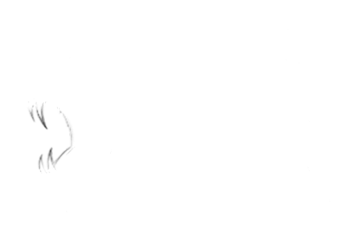 Chennai Super Kings PNG