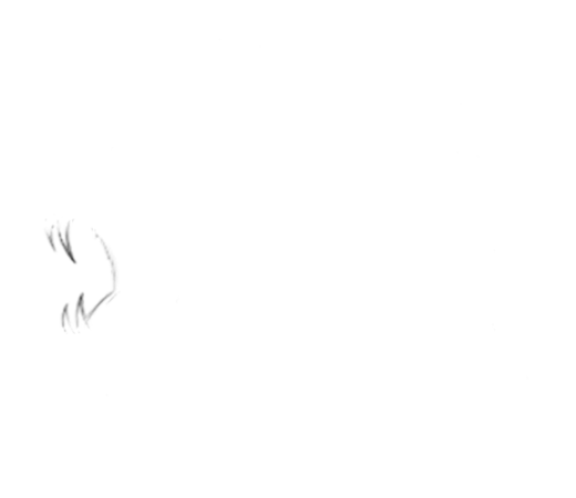 Chennai Super Kings PNG