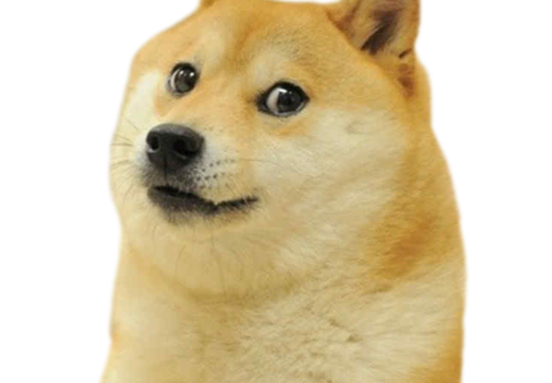 Doge with Right Faces